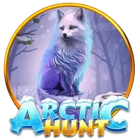Arctic Hunt game cover